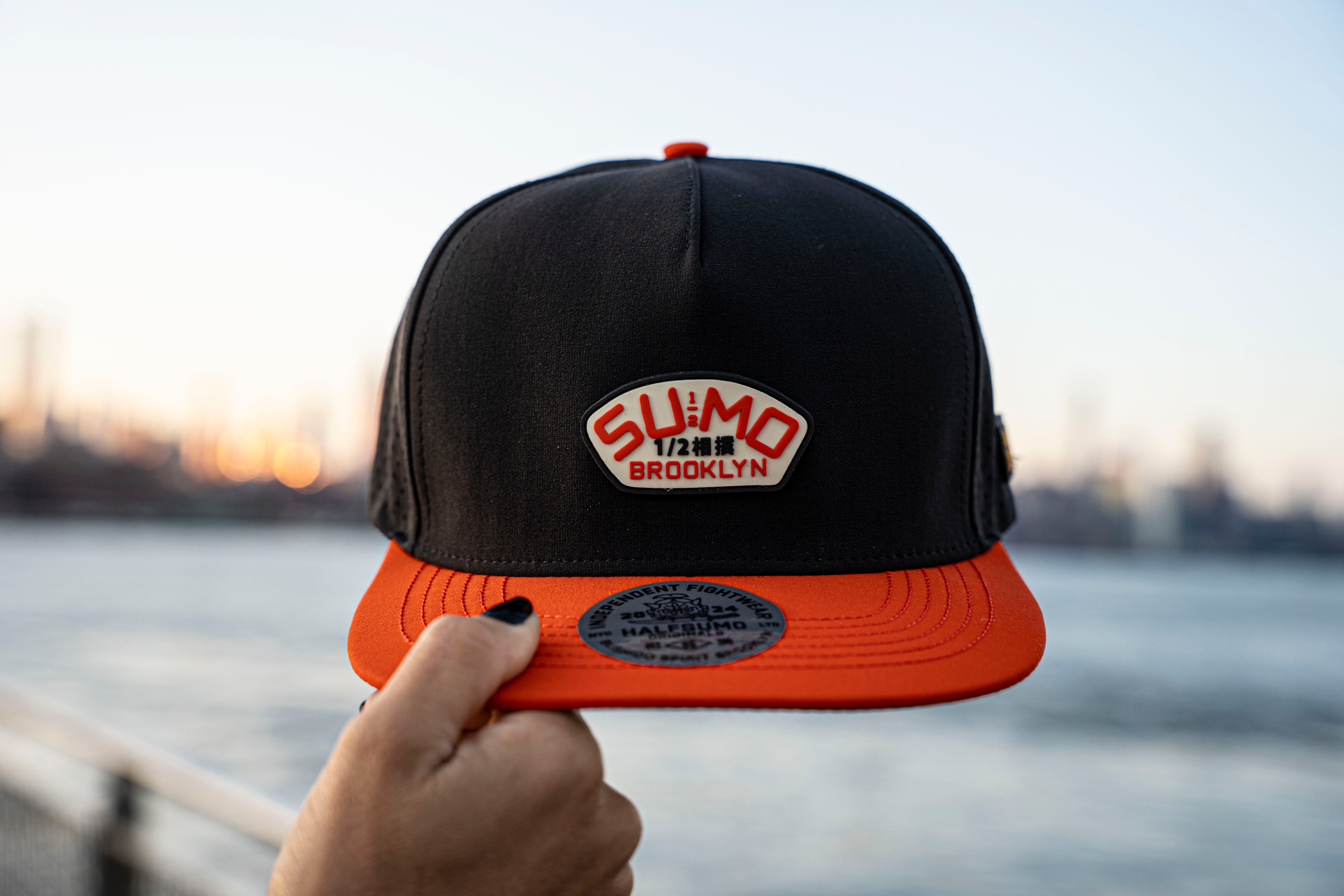 Ryu Cap