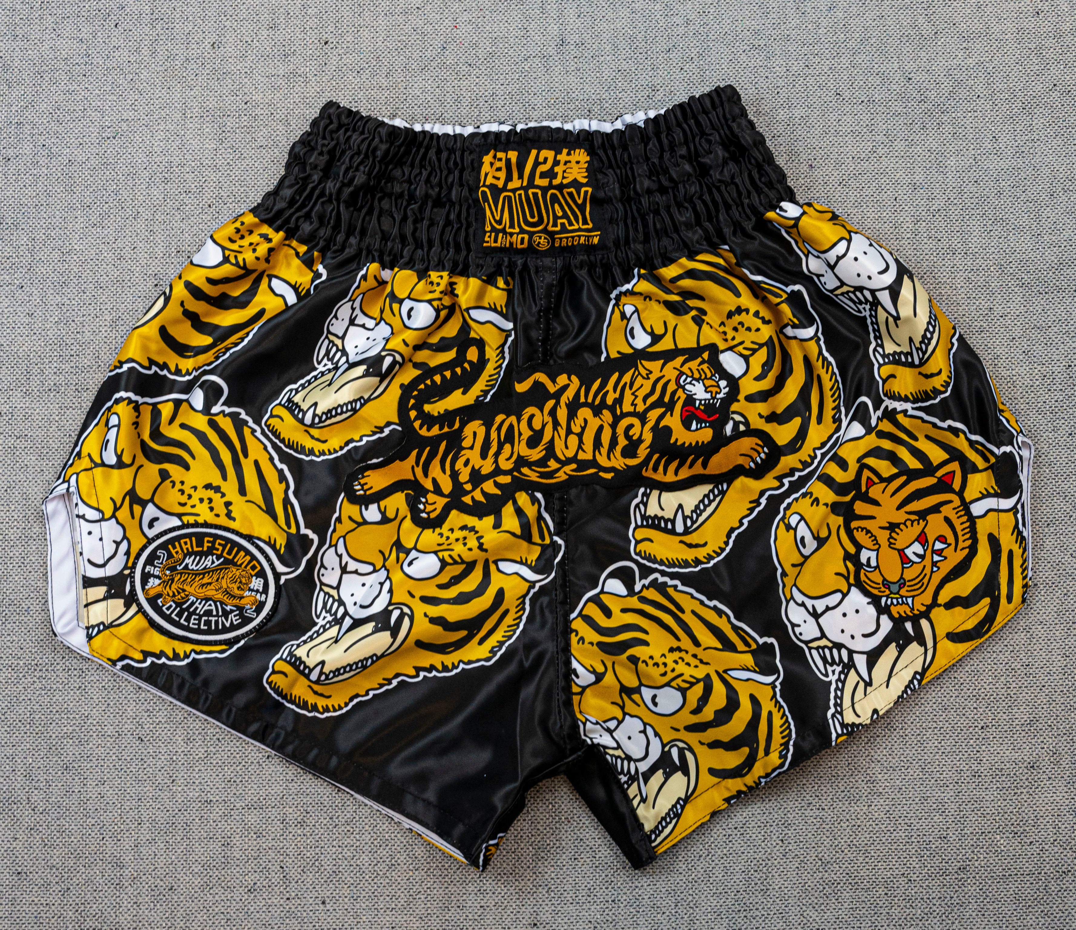 Tora Muay Thai Shorts