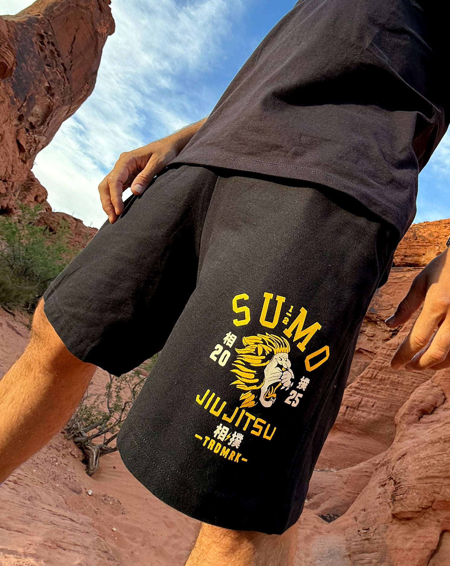 Lion Tamer Shorts