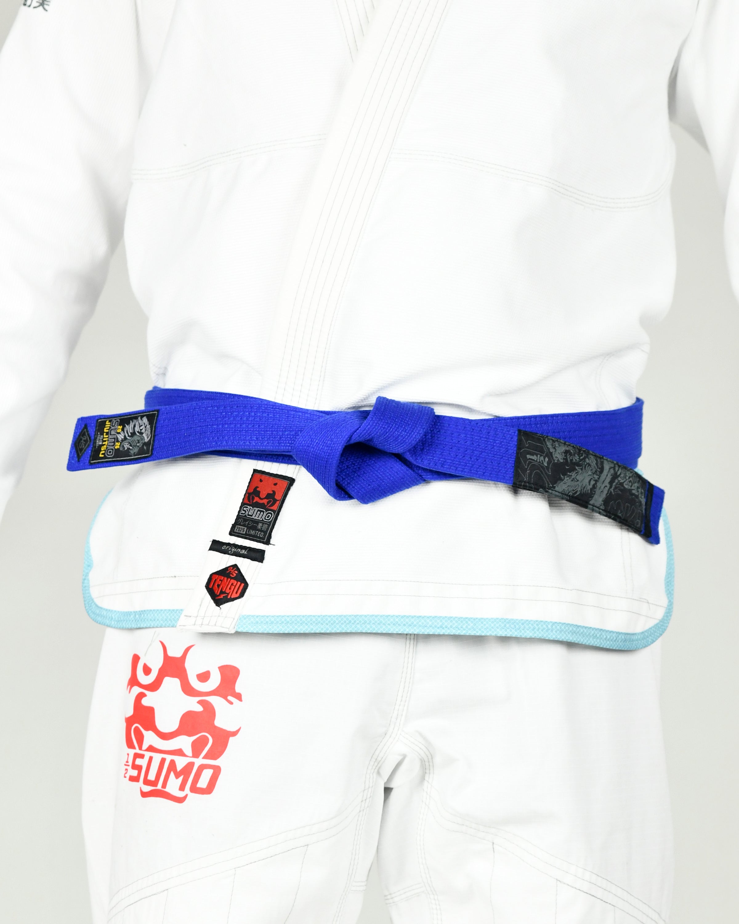 Lion Jiu-Jitsu Belts