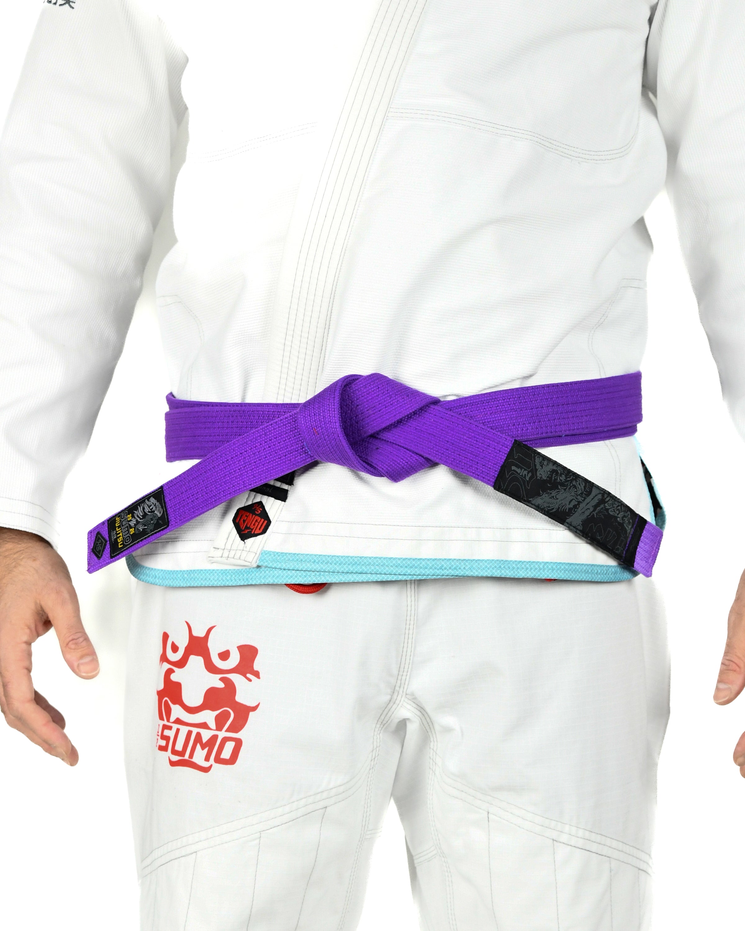 Lion Jiu-Jitsu Belts
