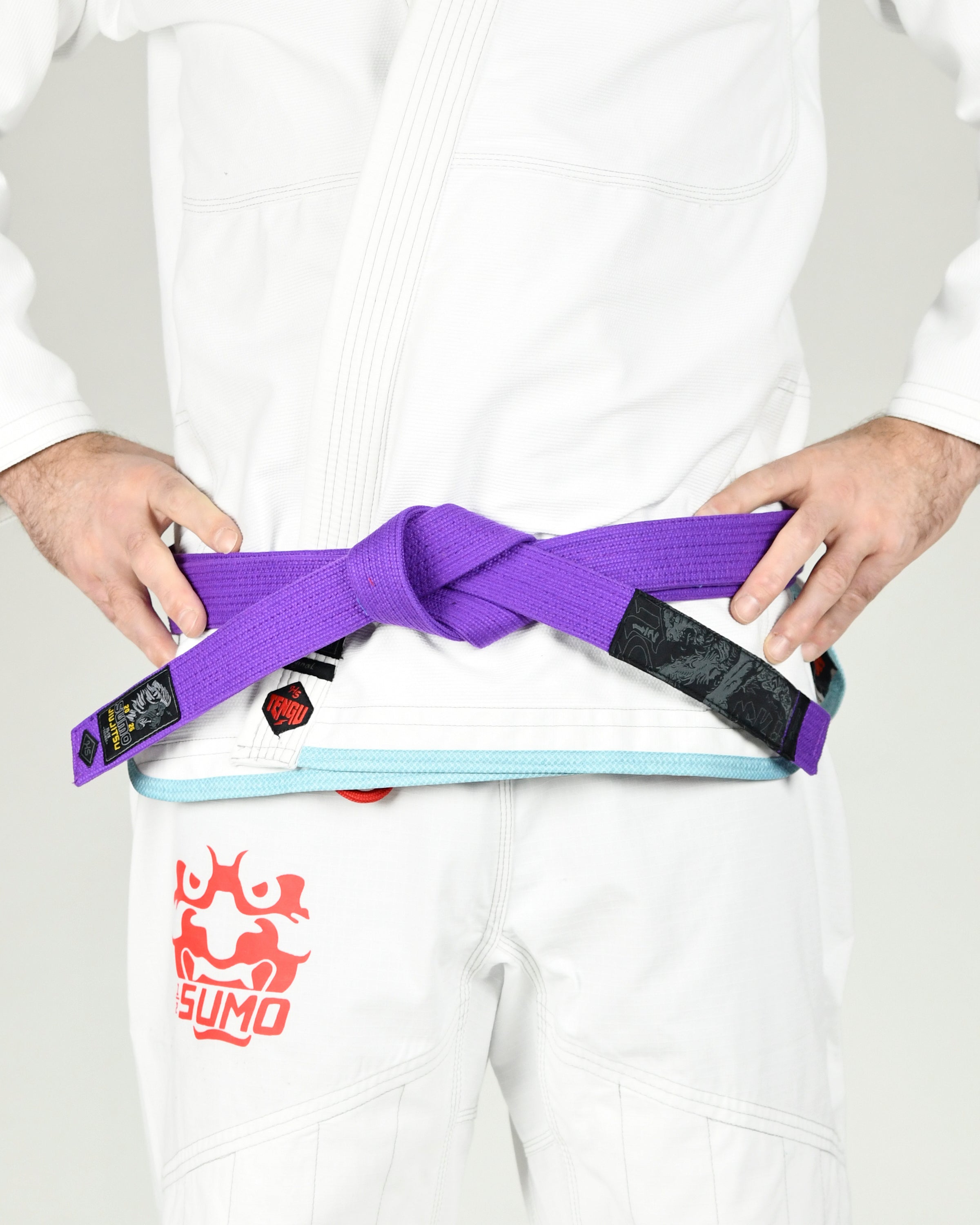 Lion Jiu-Jitsu Belts