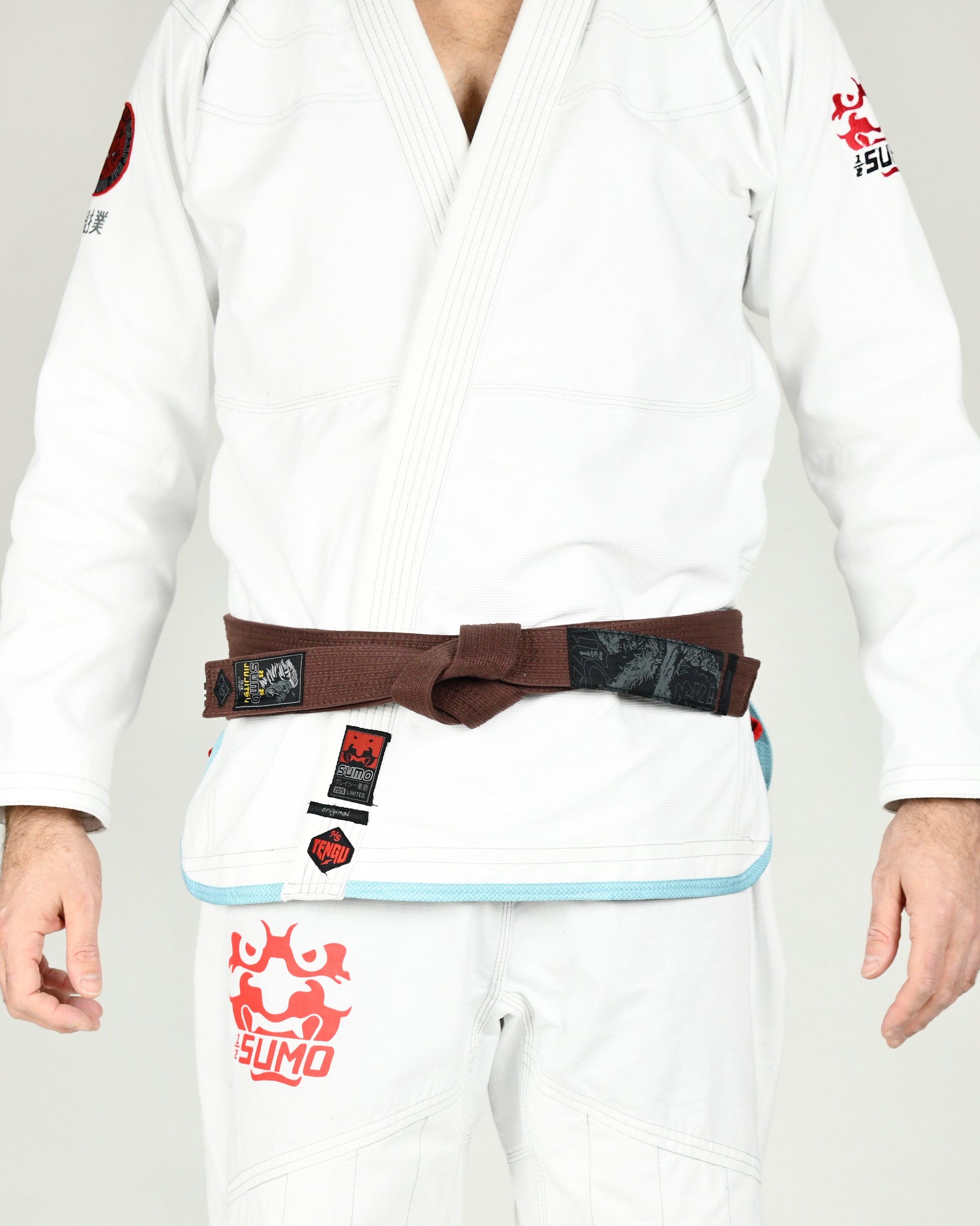 Lion Jiu-Jitsu Belts