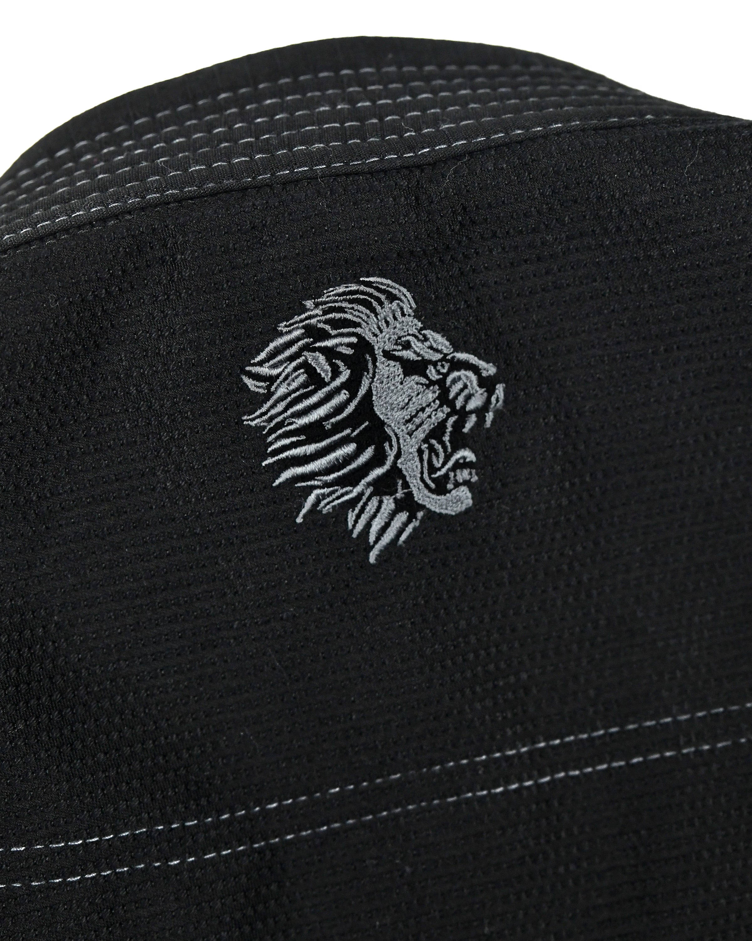 Lion Dogi Black