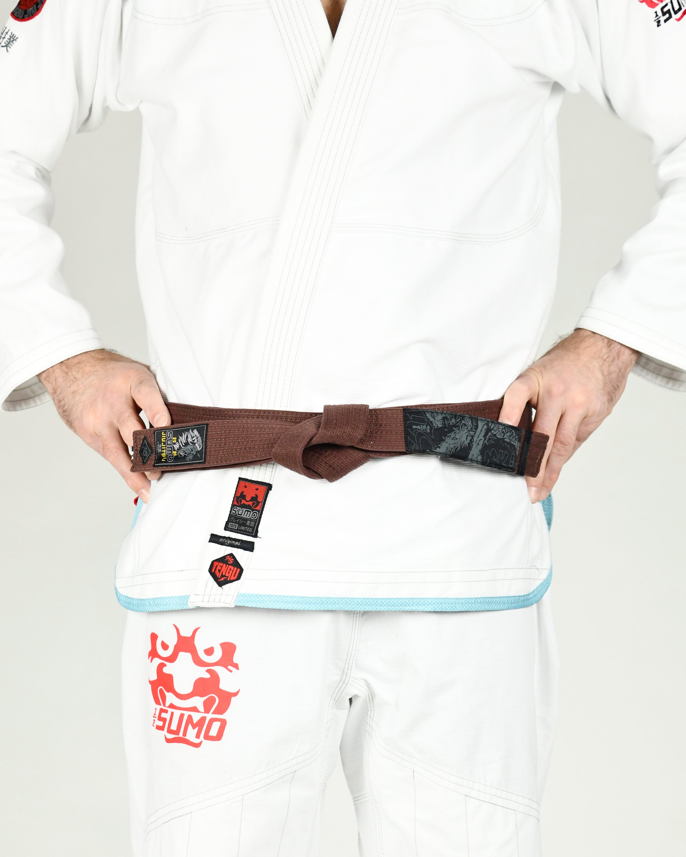 Lion Jiu-Jitsu Belts