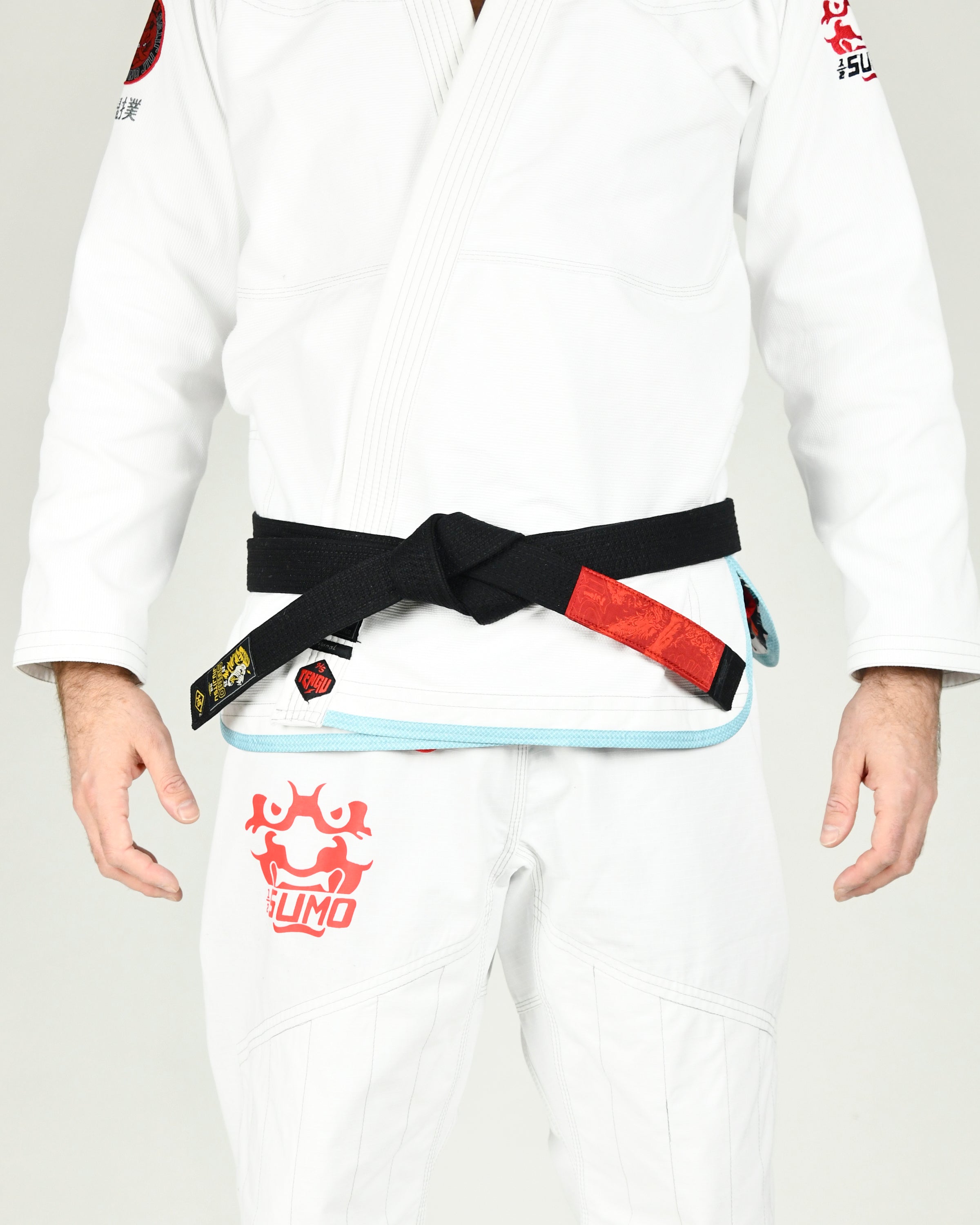 Lion Jiu-Jitsu Belts