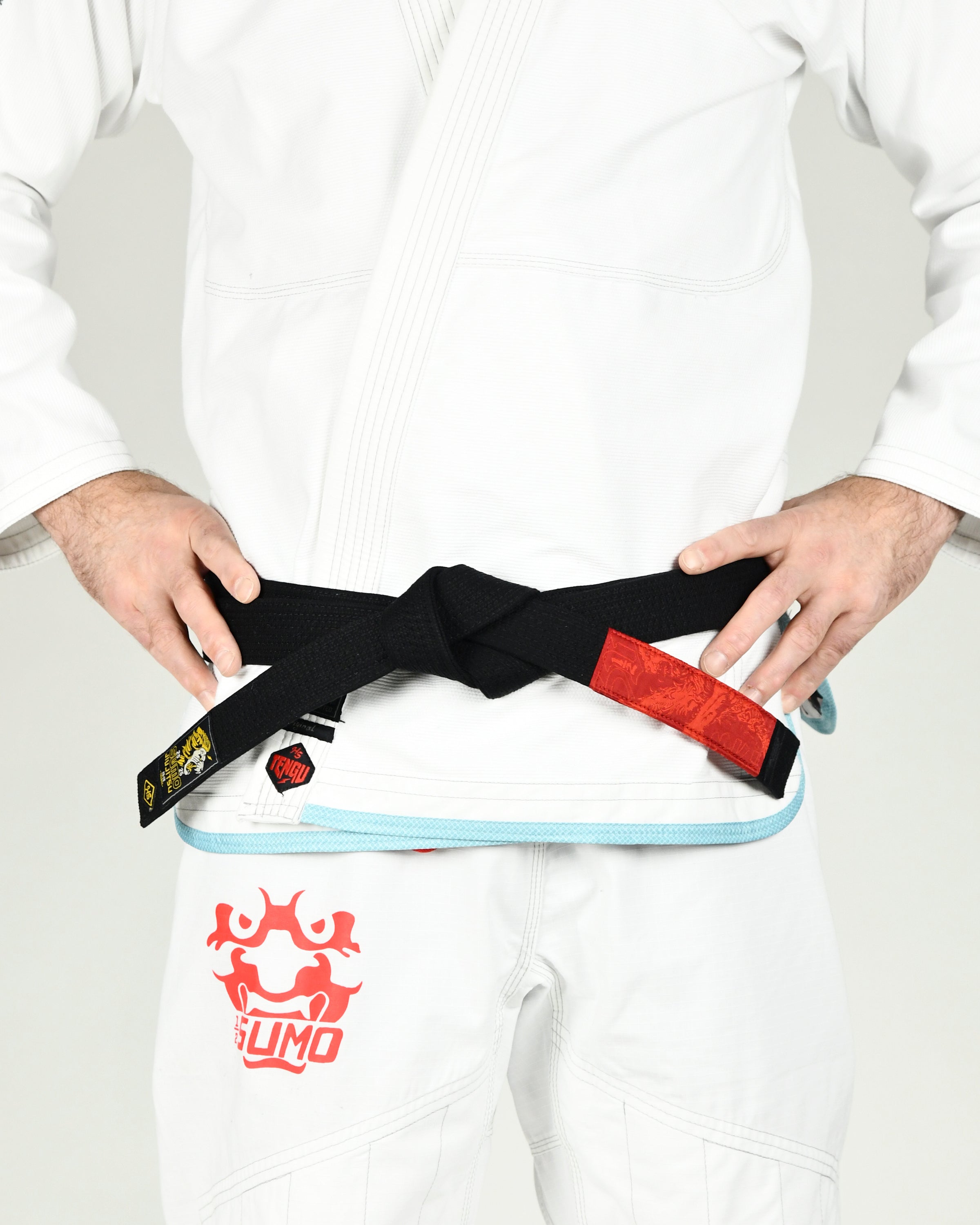 Lion Jiu-Jitsu Belts