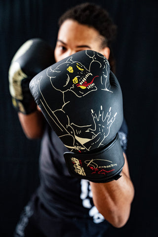 Archangel Boxing Gloves