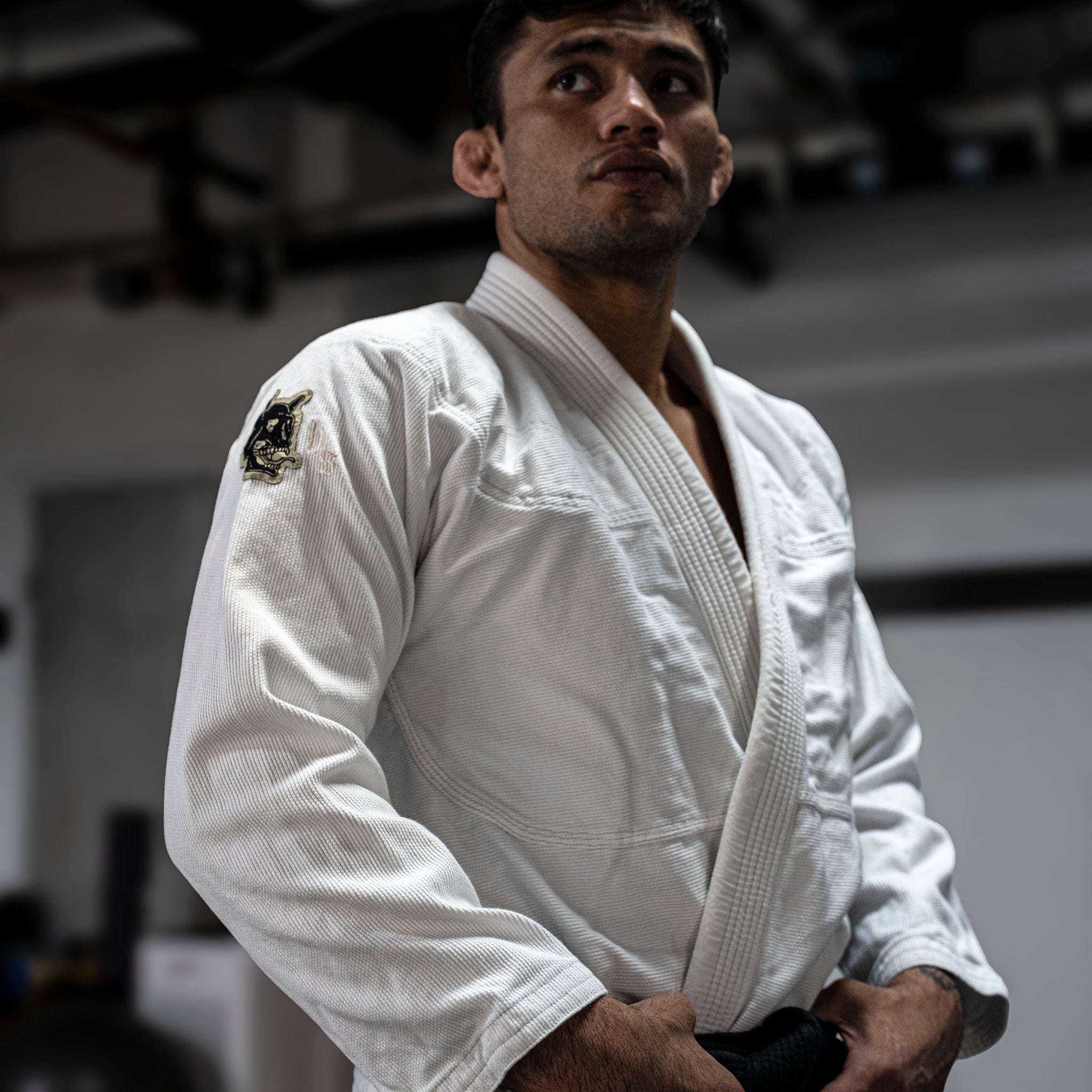 Archangel Dogi White