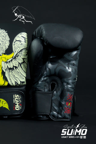 Archangel Boxing Gloves