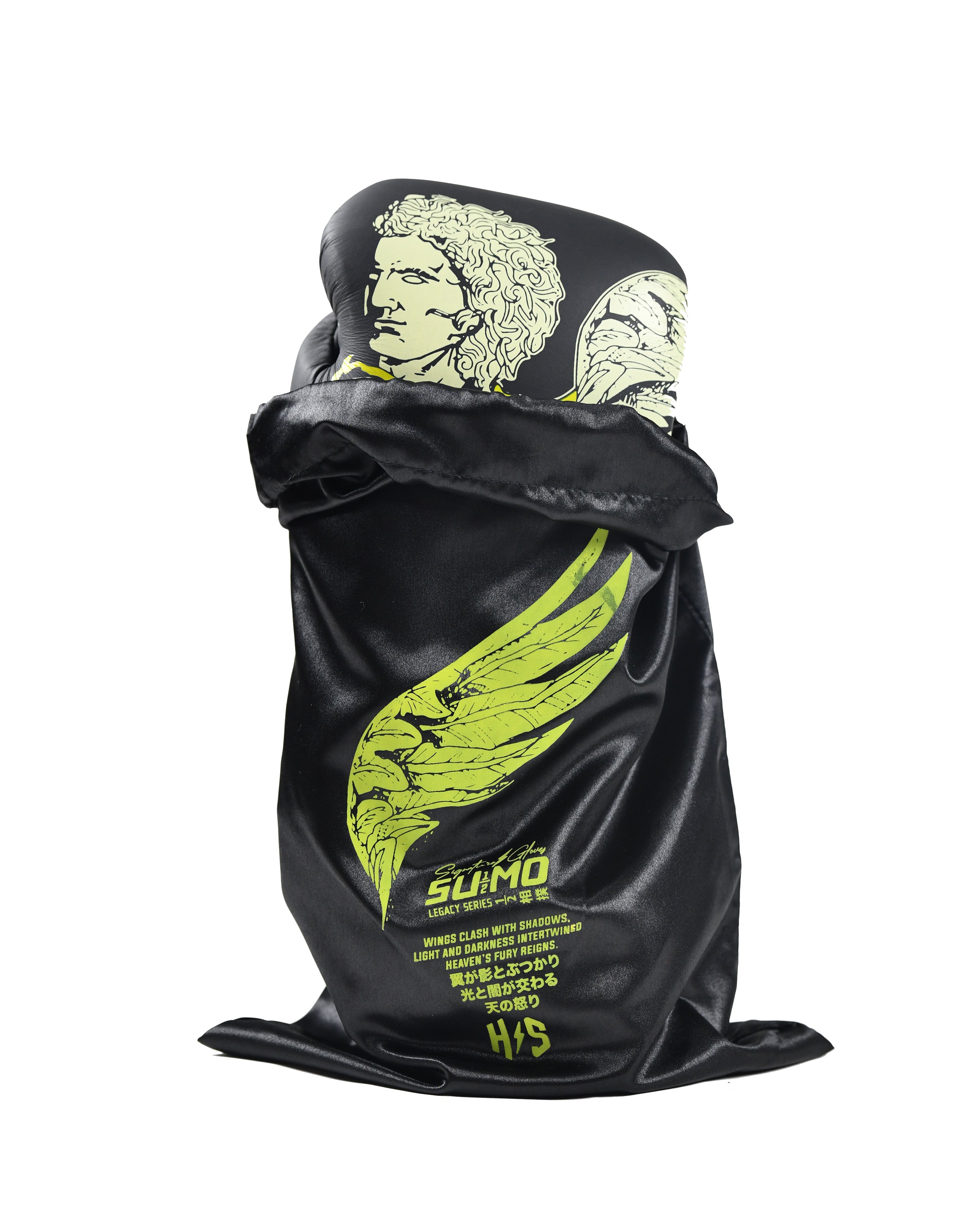 Archangel Boxing Gloves