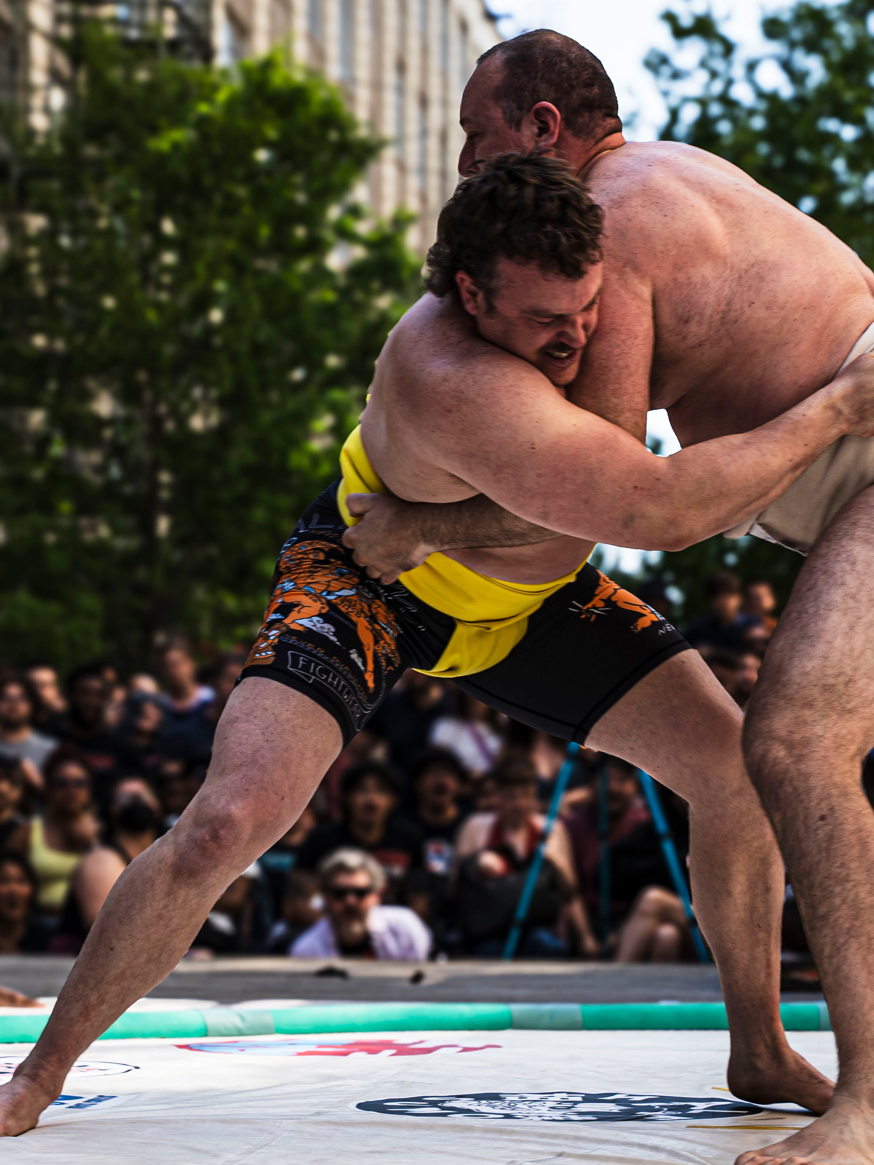 Yokozuna Sumo Shorts