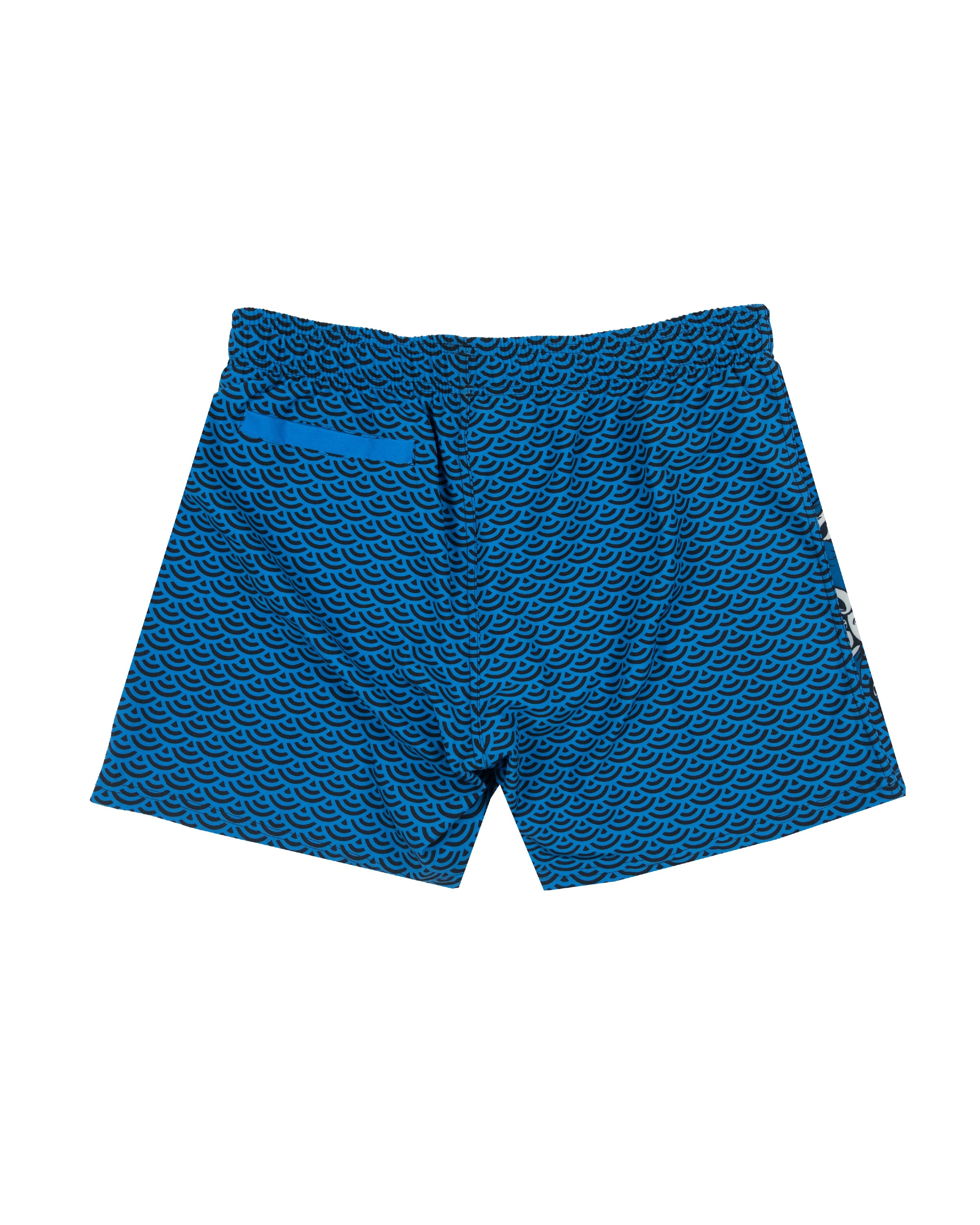 Mizu Board Shorts