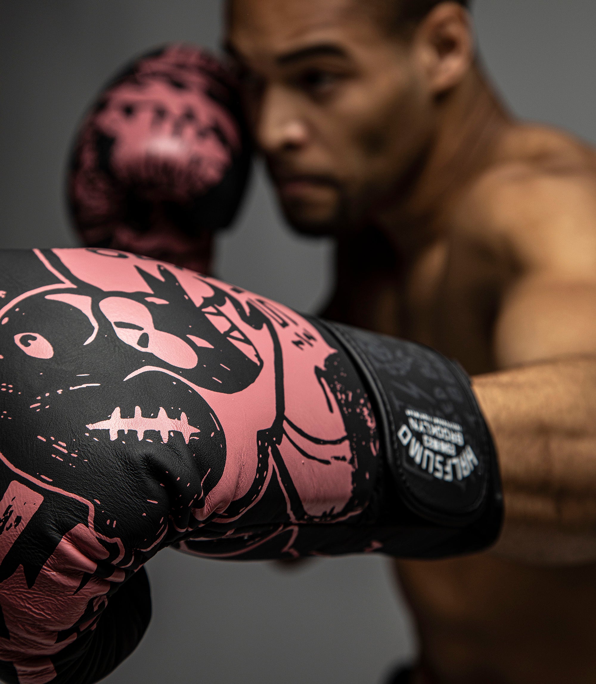 Black Cat Boxing Gloves – Half Sumo